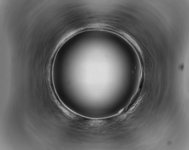X0000101171437200806271023