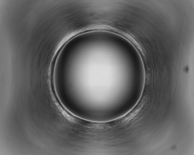 X0000101171438200806271023