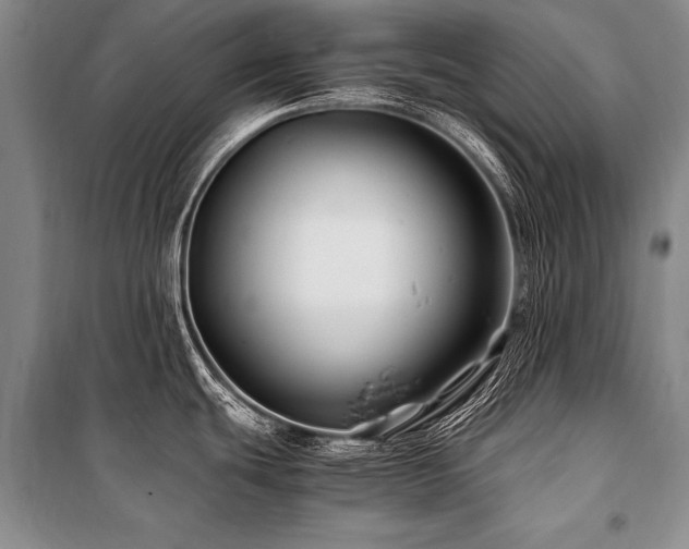 X0000101171439200806271023