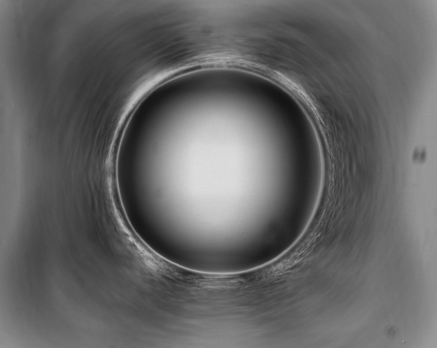 X0000101171440200806271023