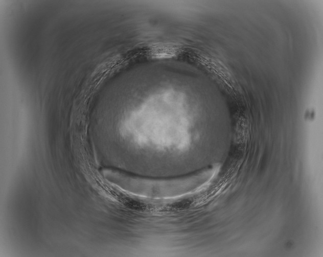 X0000101171441200806271022