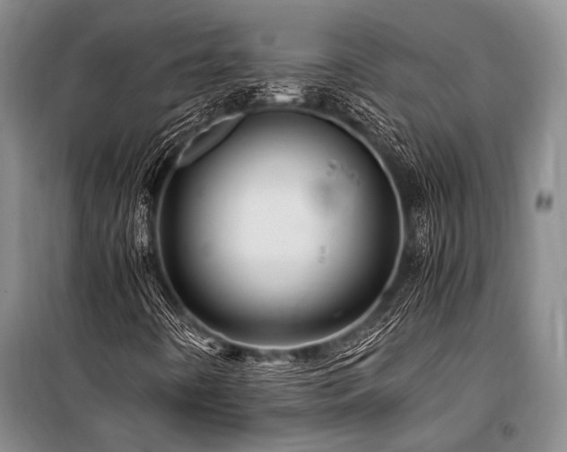 X0000101171442200806271022