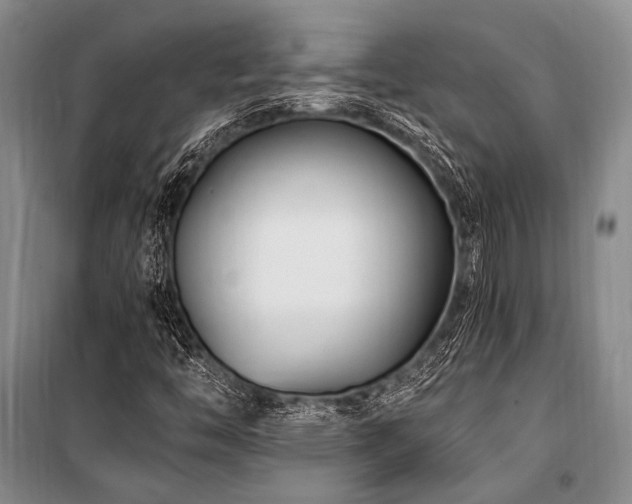 X0000101171446200806271022