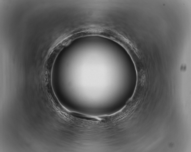 X0000101171448200806271022