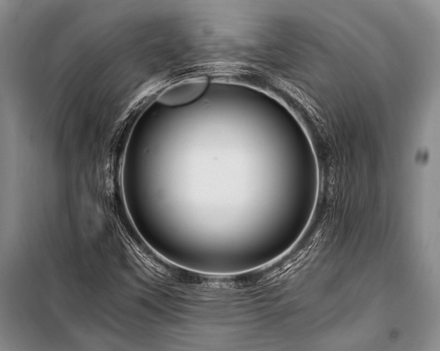 X0000101171451200806271022