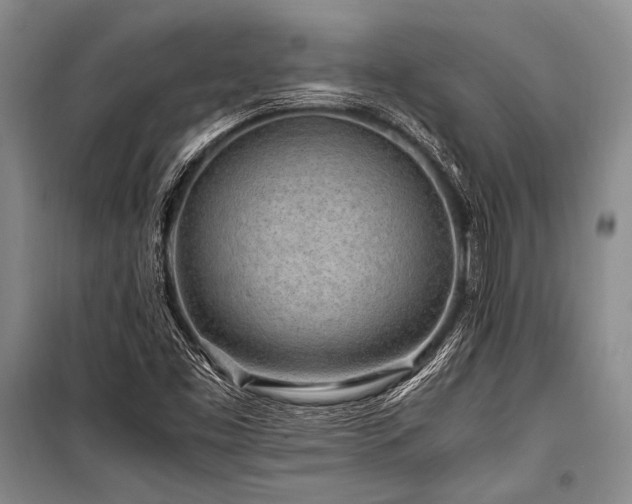 X0000101171453200806271022