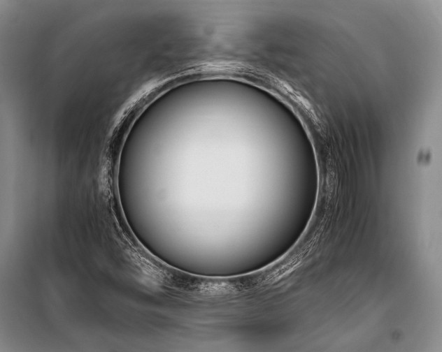 X0000101171454200806271022