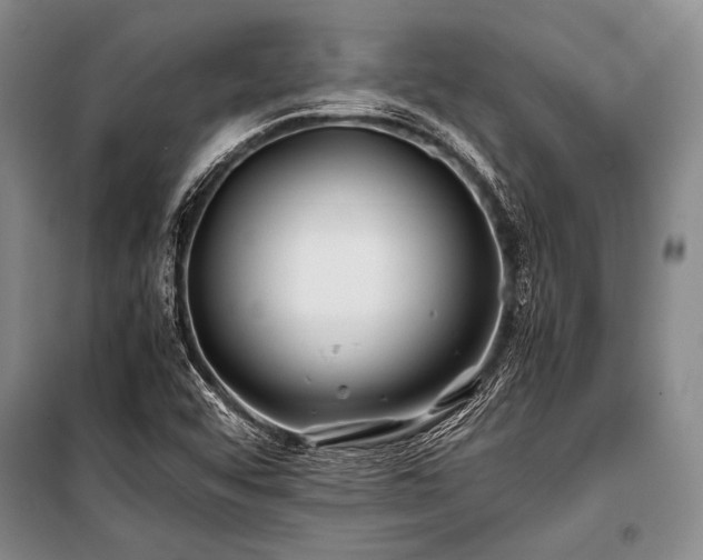 X0000101171456200806271022