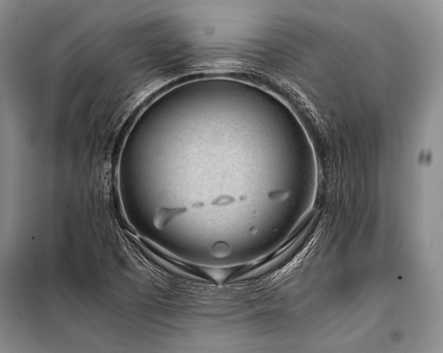 X0000101171457200806271022