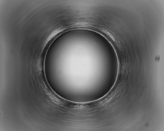 X0000101171458200806271022