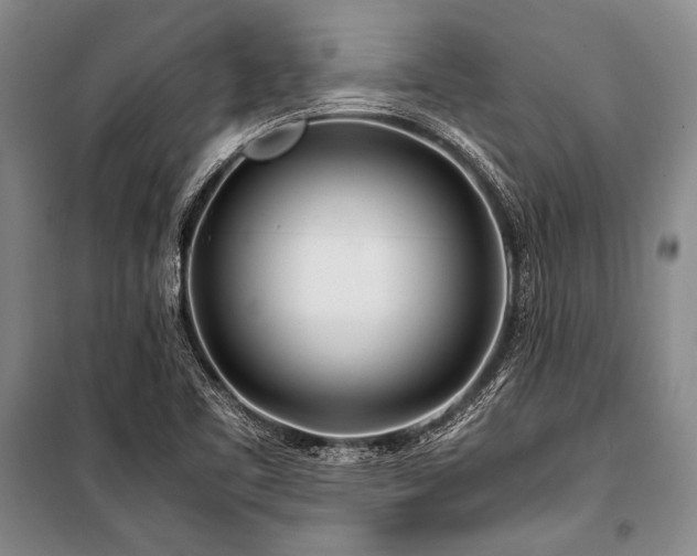 X0000101171461200806271022