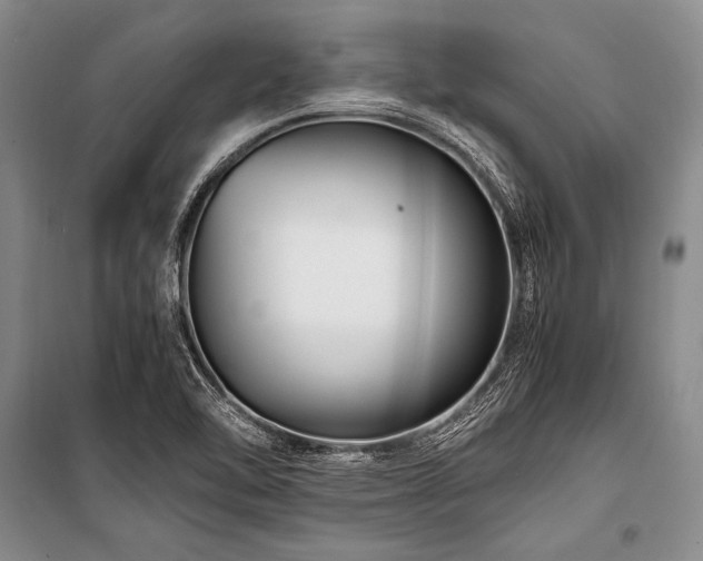X0000101171462200806271022