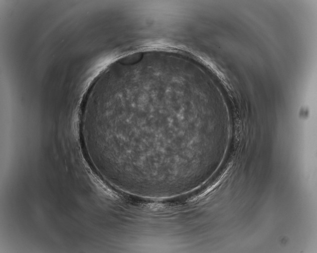 X0000101171463200806271022