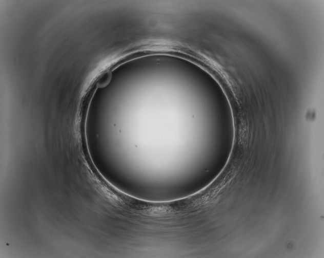X0000101171464200806271022