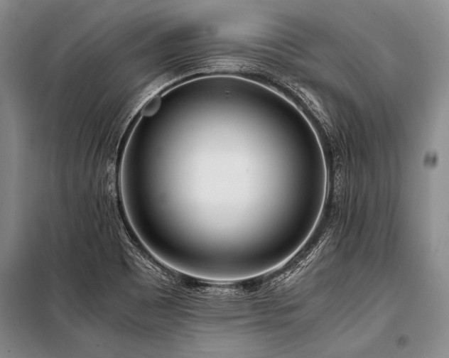 X0000101171465200806271022