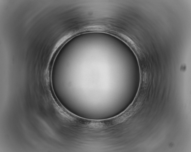 X0000101171466200806271022