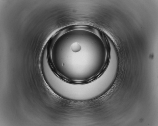 X0000101171468200806271022