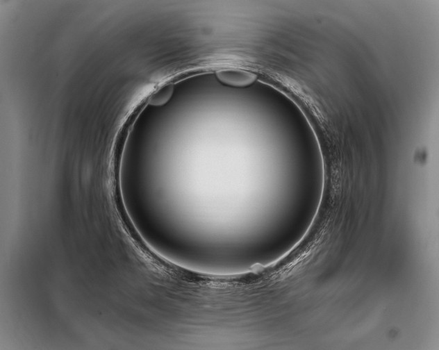 X0000101171469200806271022