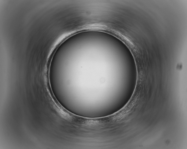 X0000101171470200806271022