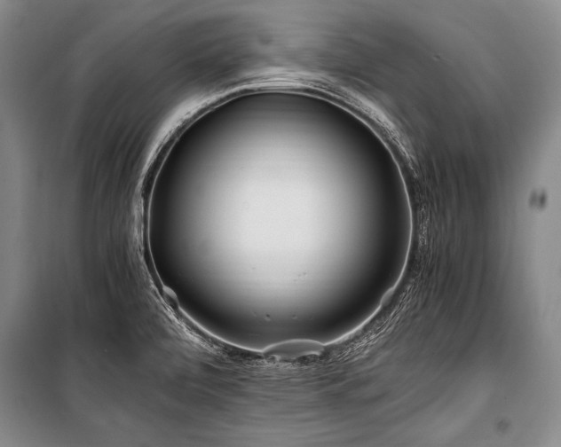 X0000101171472200806271022