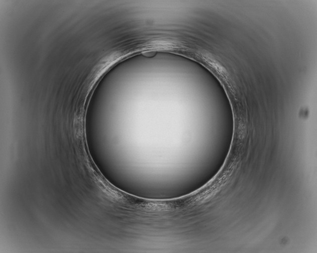 X0000101171473200806271022