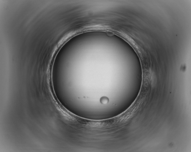 X0000101171474200806271022