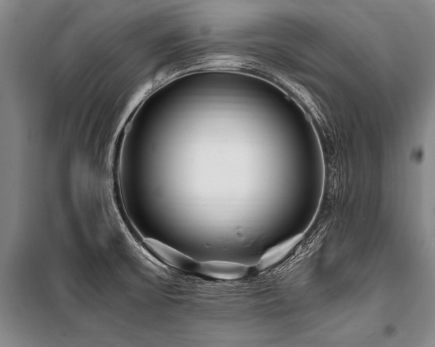 X0000101171475200806271022
