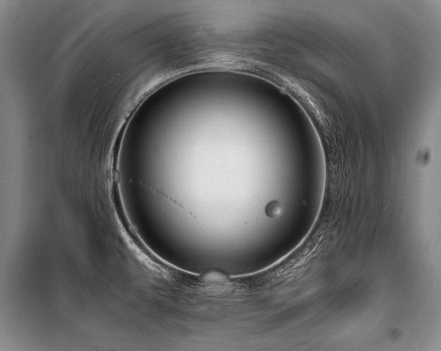X0000101171479200806271022