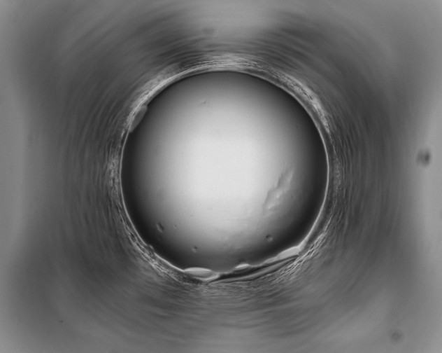 X0000101171481200806271022