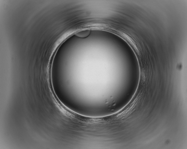 X0000101171482200806271022