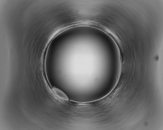 X0000101171483200806271022