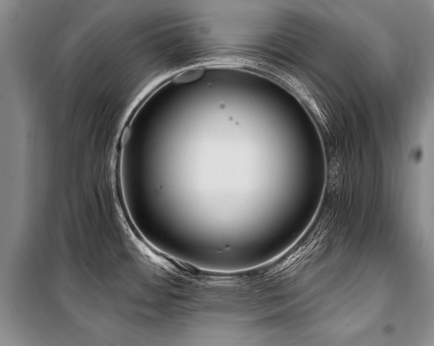 X0000101171484200806271021
