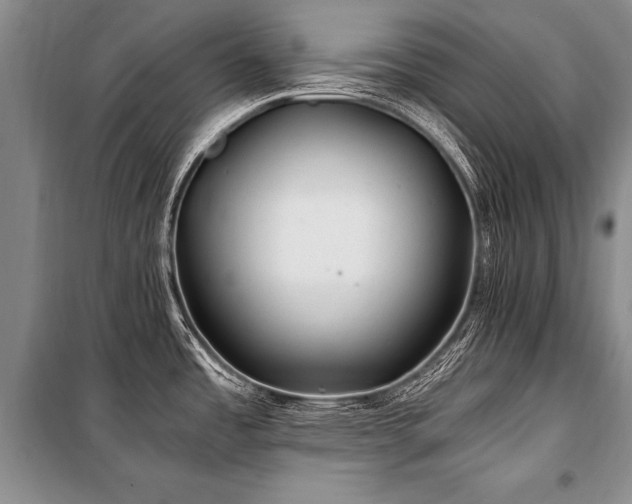 X0000101171485200806271021