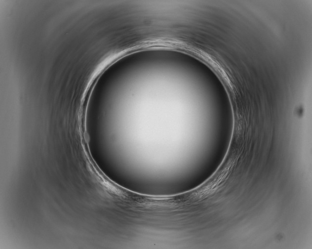 X0000101171486200806271021