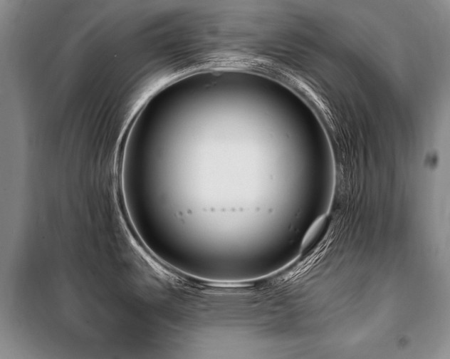 X0000101171487200806271021