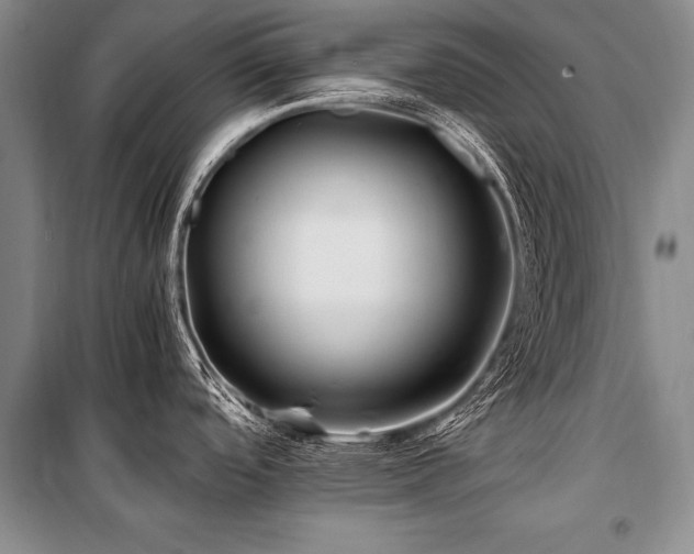 X0000101171488200806271021