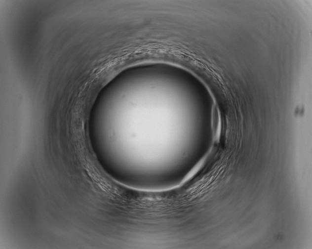 X0000101171489200806271021