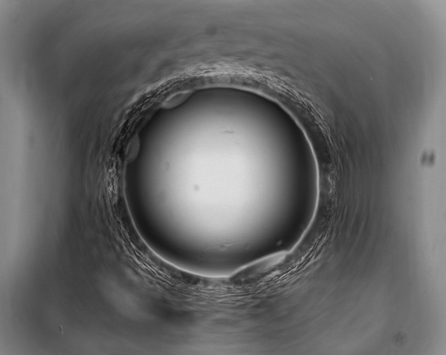 X0000101171493200806271021
