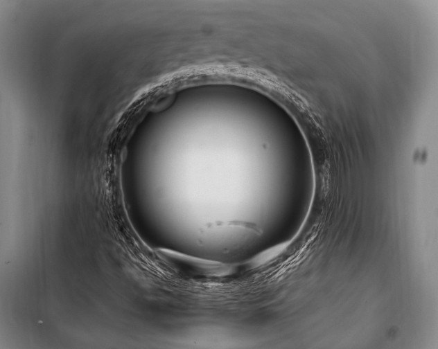 X0000101171494200806271021