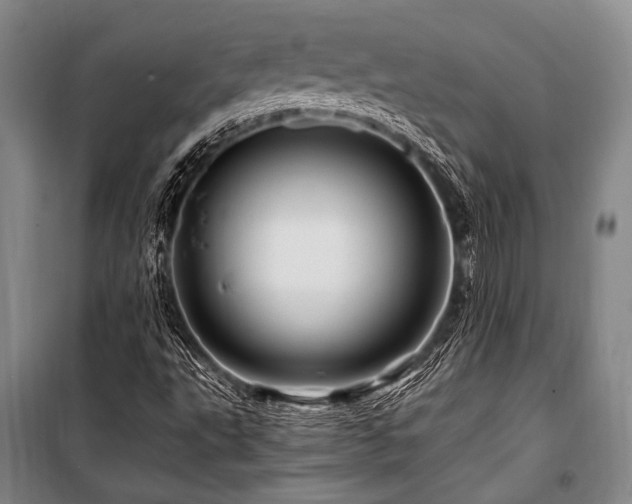 X0000101171495200806271021