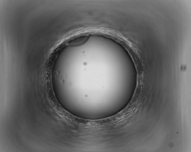 X0000101171496200806271021