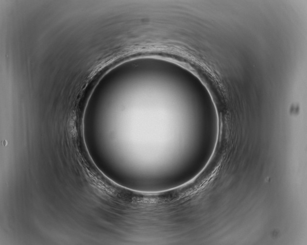 X0000101171497200806271021