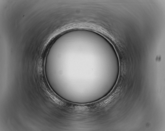 X0000101171498200806271021