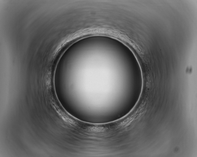 X0000101171499200806271021