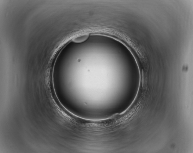 X0000101171500200806271021