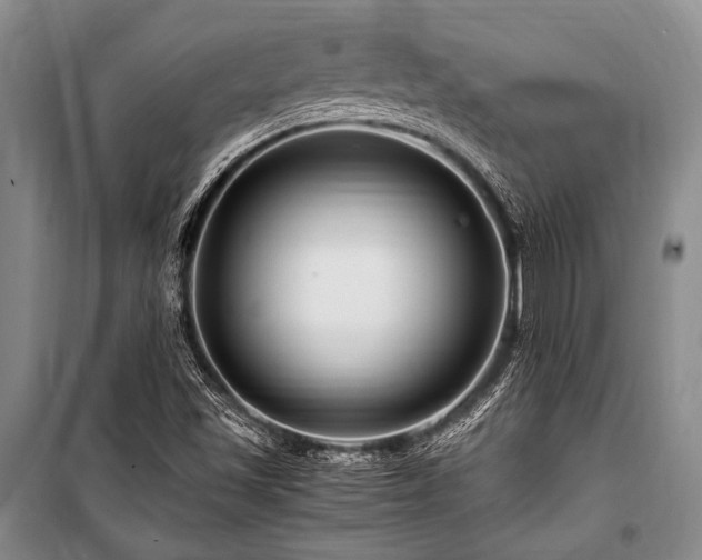 X0000101171501200806271021