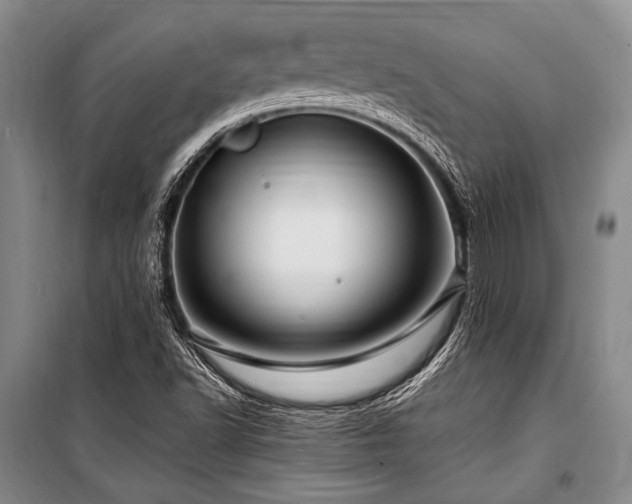 X0000101171502200806271021