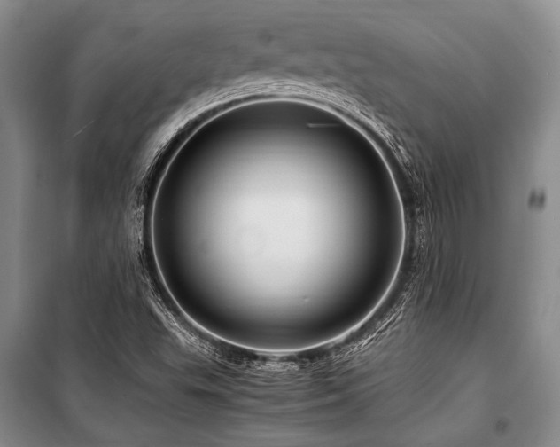 X0000101171503200806271021