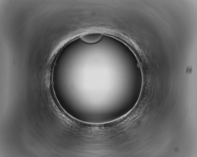 X0000101171504200806271021