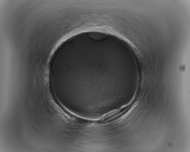 X0000101171506200806271021